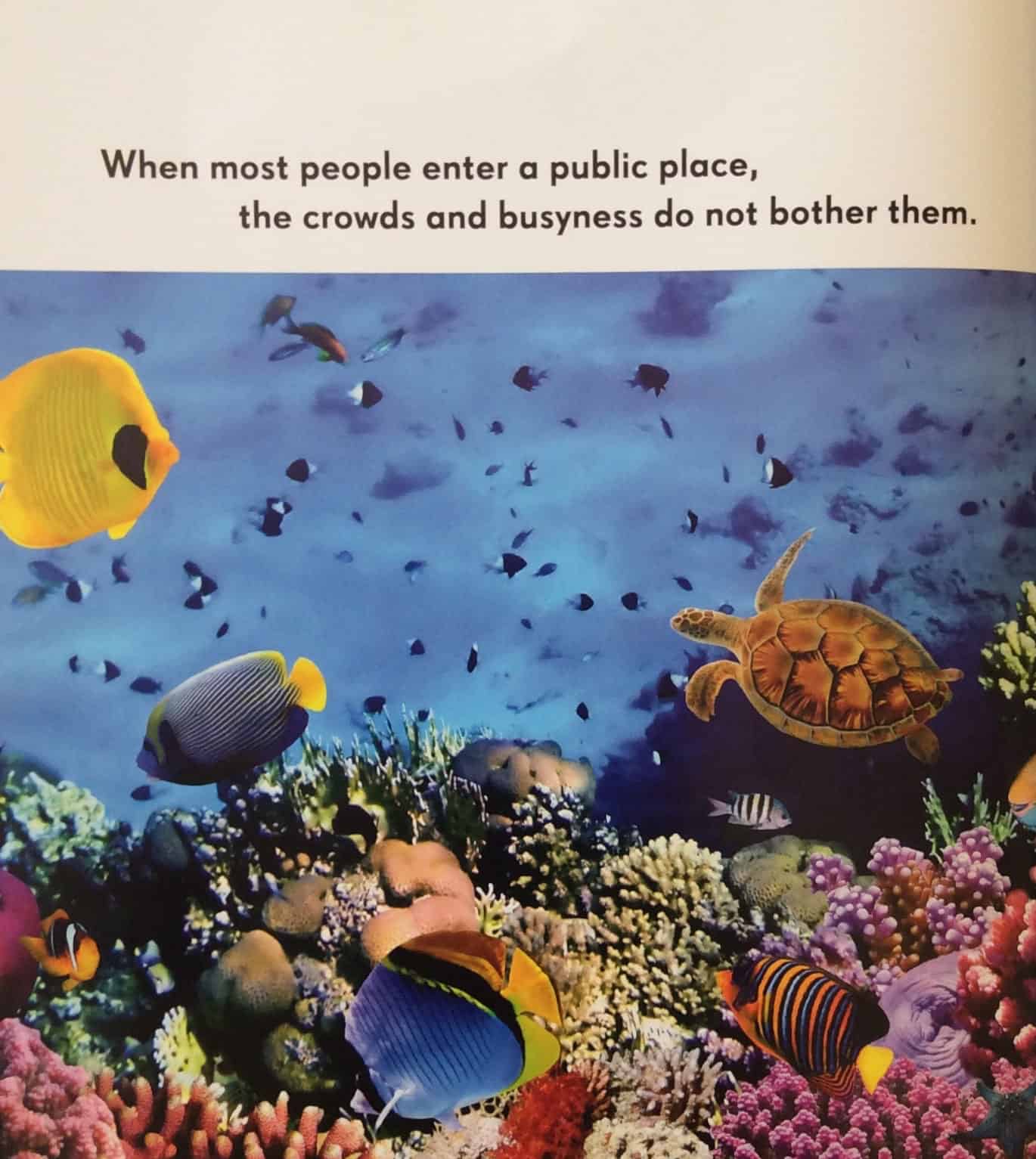 Inside Asperger's Looking Out - Image 2