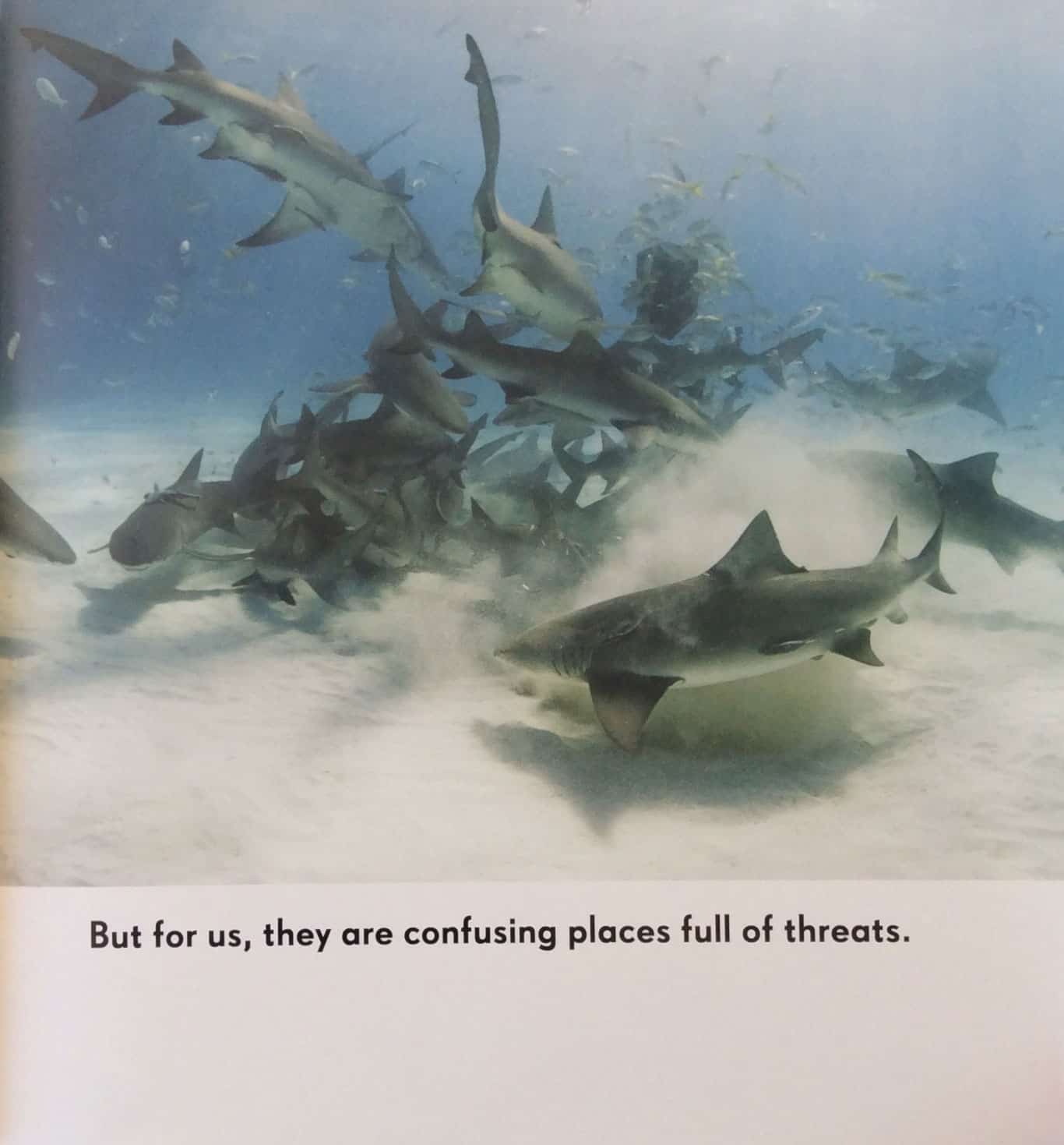 Inside Asperger's Looking Out - Image 3