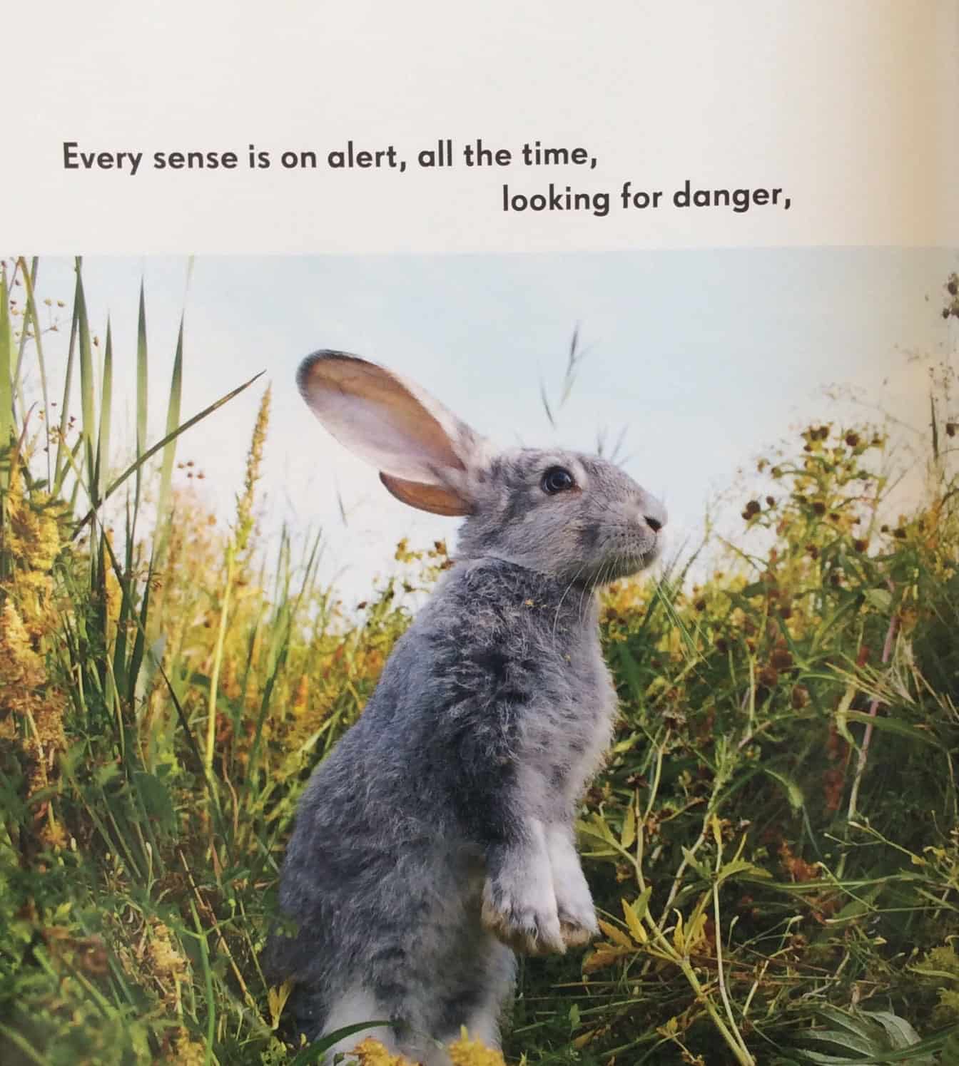 Inside Asperger's Looking Out - Image 4