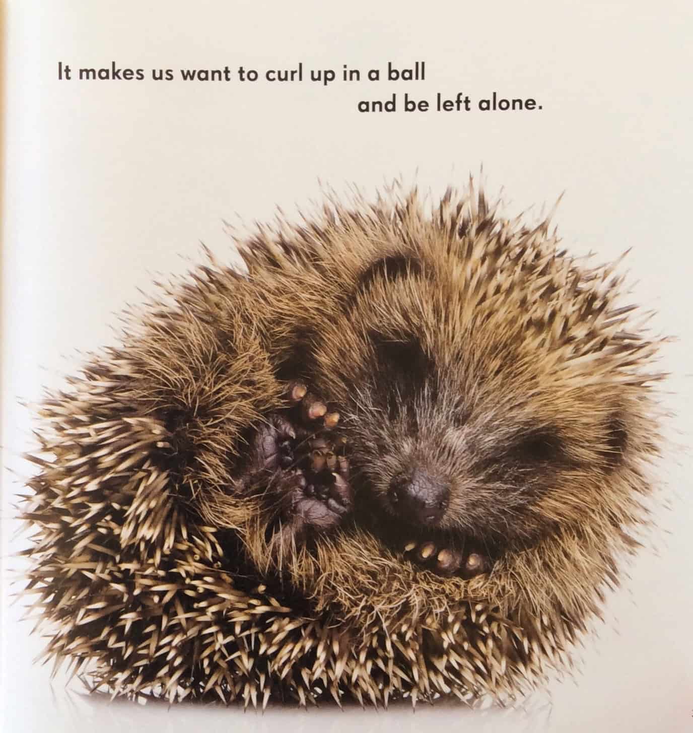 Inside Asperger's Looking Out - Image 5