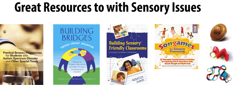 Great Resourse for Sensory Issues