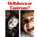 Meltdown v Tantrum