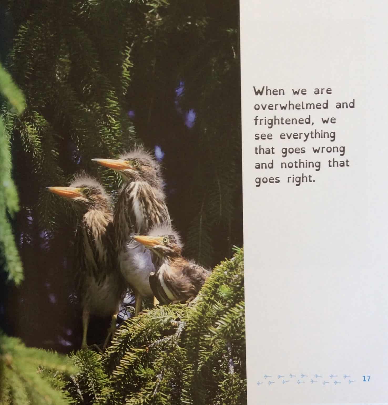 All Birds have Anxiety - Image 3