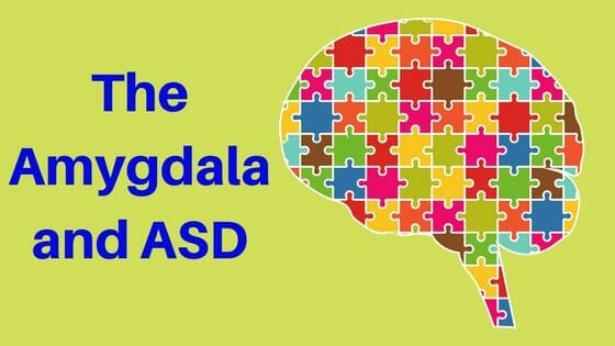 The Amygdala and ASD