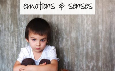 Emotional Regulation