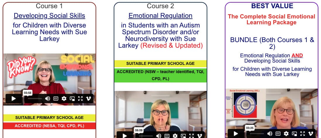 Sue Larkey Social Emotional Learning Courses