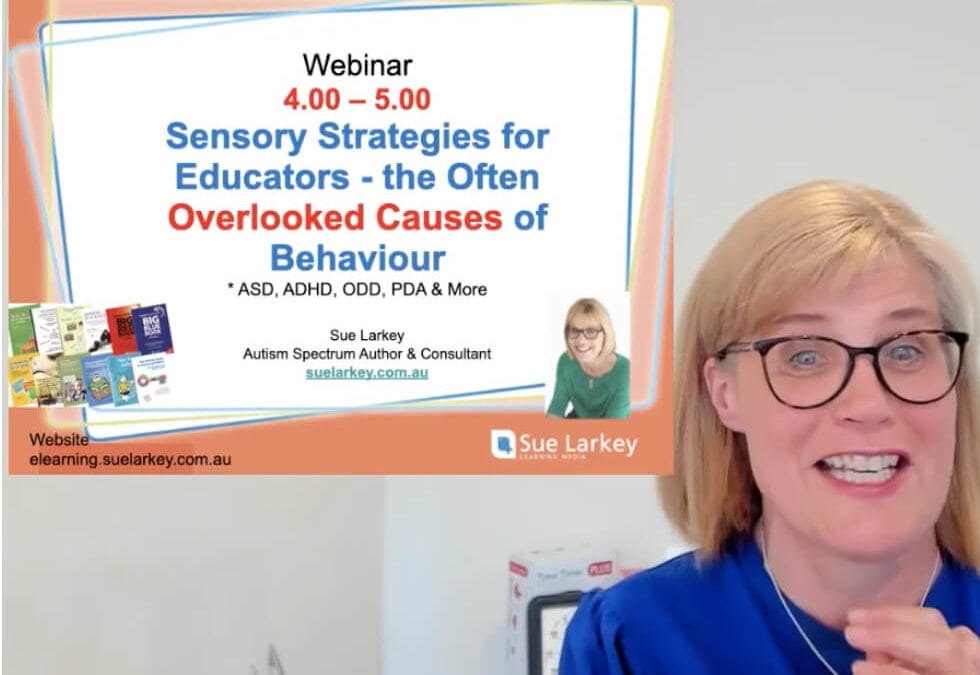 Episode 119: Webinar Replay – Sensory Strategies for Educators – the often Overlooked Causes of Behaviour