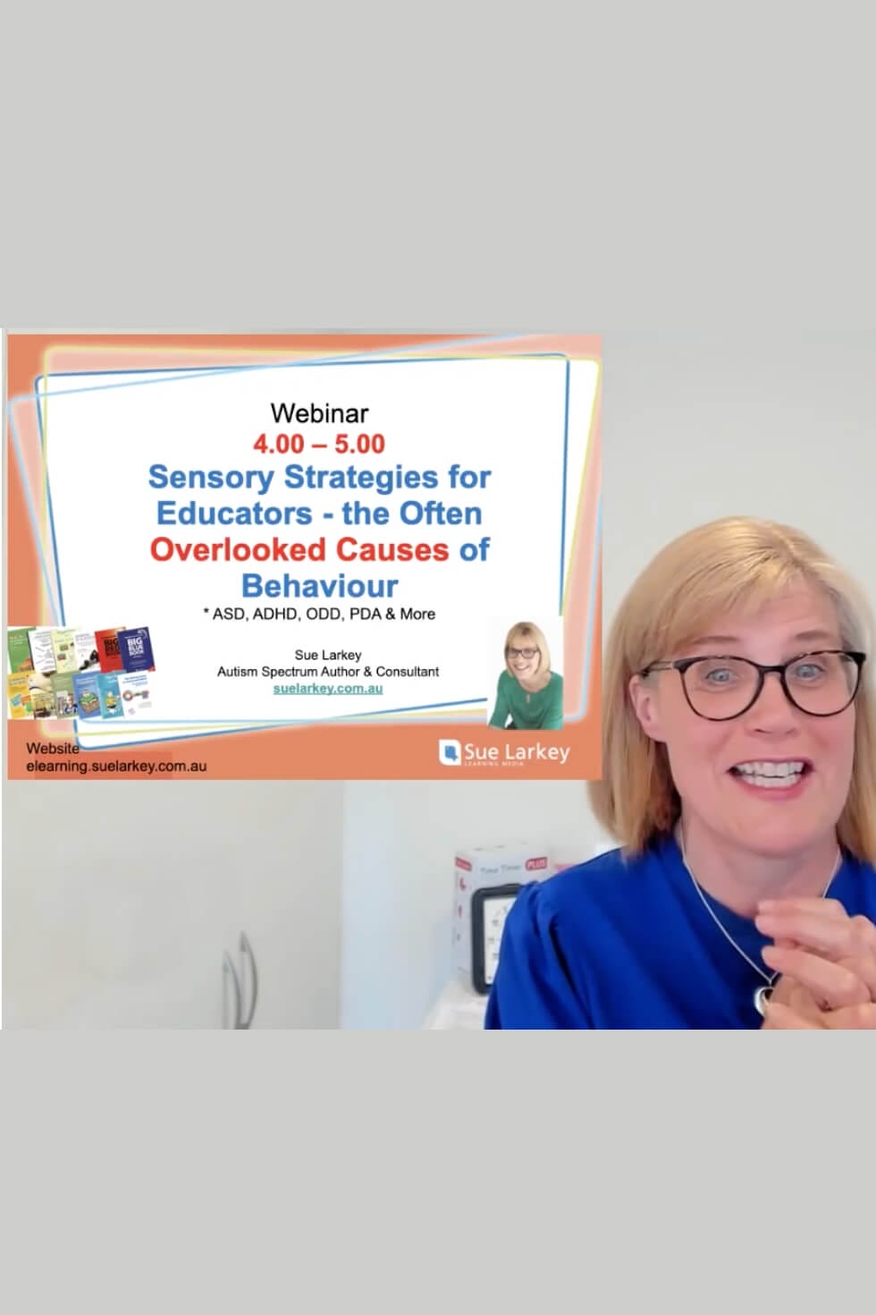 Webinar repay sensory strategies for educators