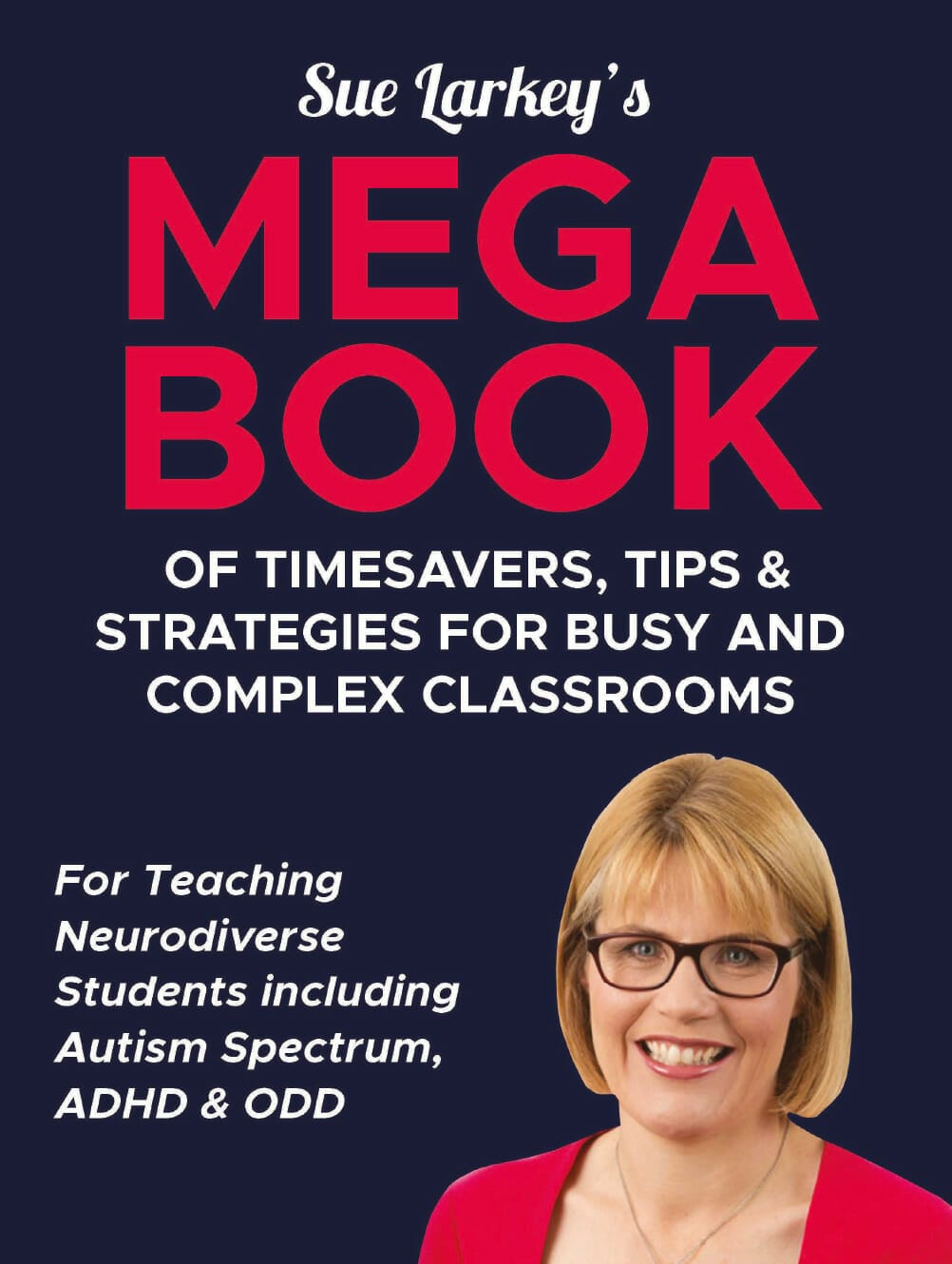 sue larkeys mega book of ideas