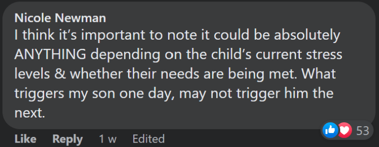 Screen Shot 2022-05-29 at 11.55.03 am