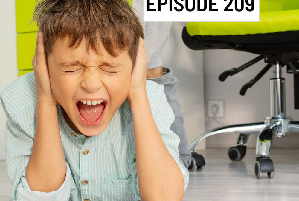 Episode 209: Meltdown Management: How to prevent and de-escalate meltdowns (ASD, PDA, ODD, ADHD)
