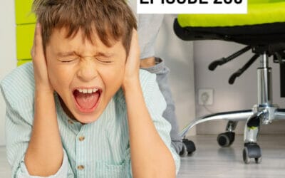 Episode 209: Meltdown Management: How to prevent and de-escalate meltdowns (ASD, PDA, ODD, ADHD)