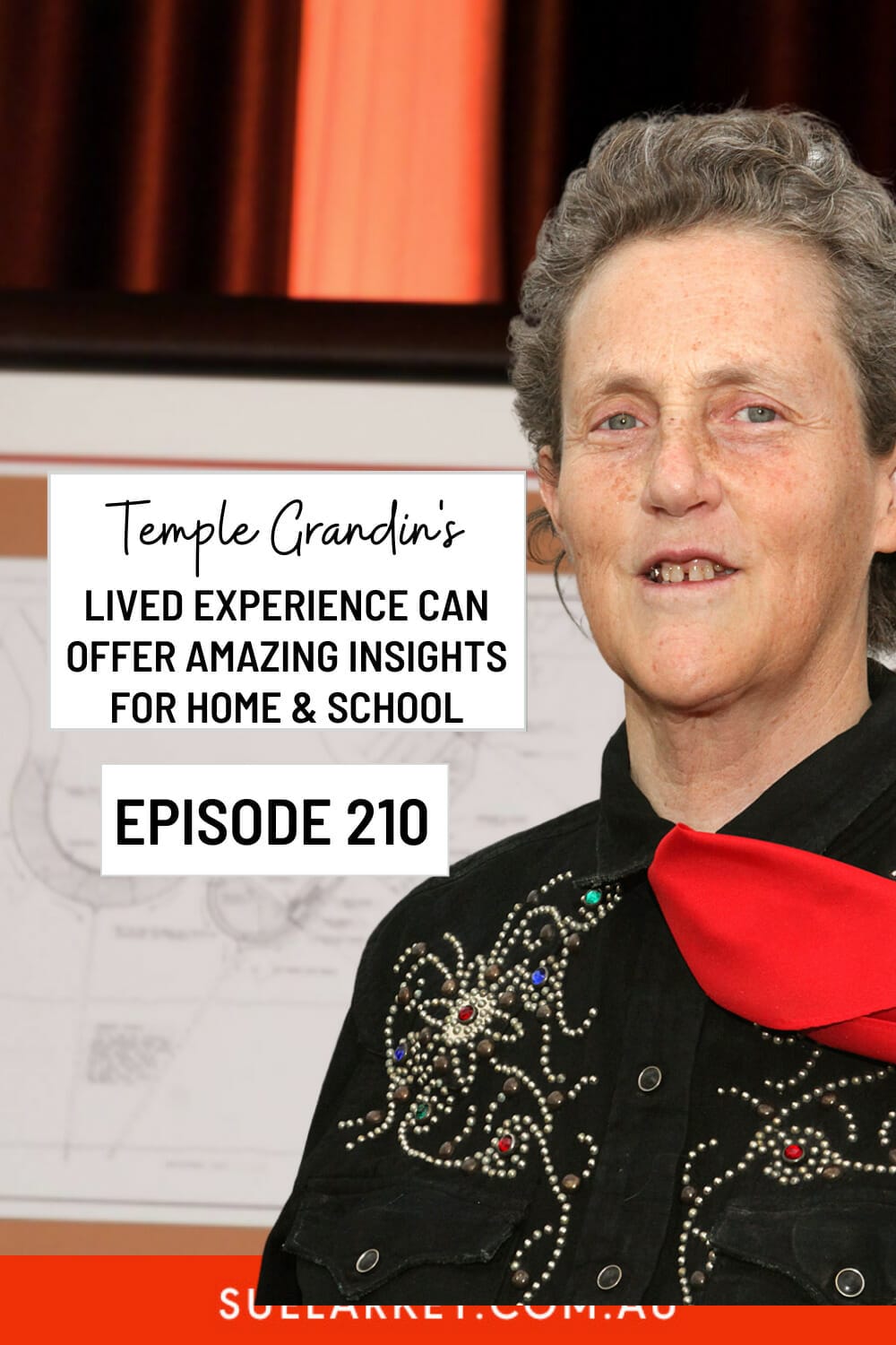 Lived Experience Insights into Autism