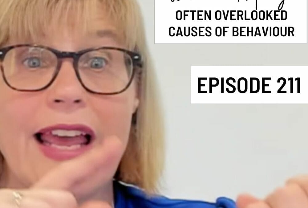 Episode 211: Webinar Replay – Often Overlooked Causes of Behaviour and What You Can Do About It