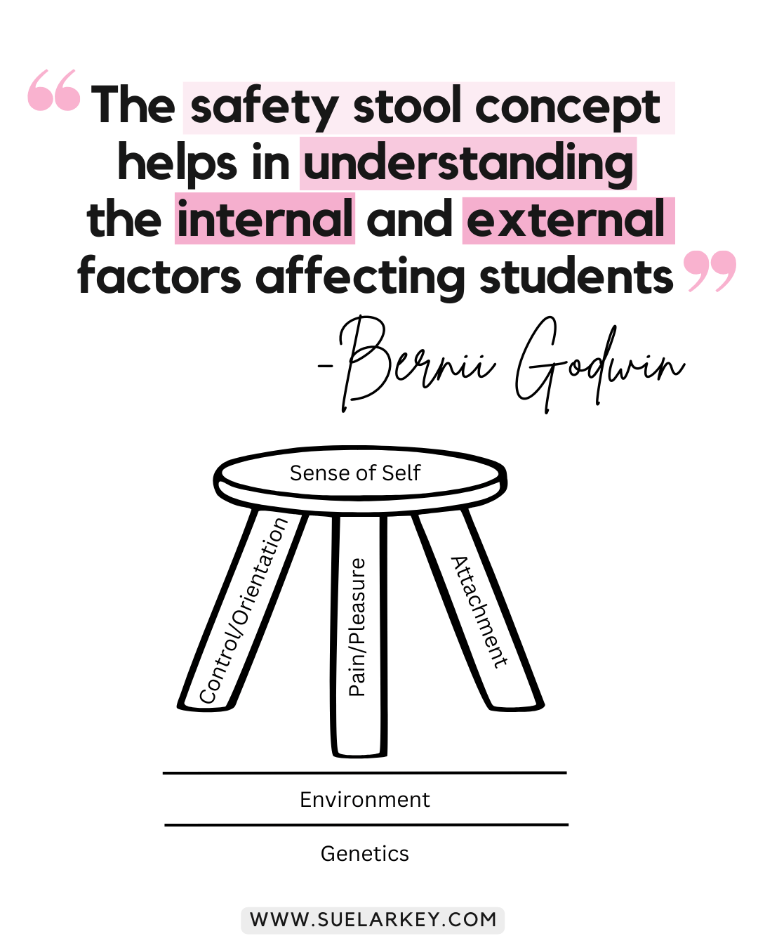 Bernii Godwin Safety Stool Quote