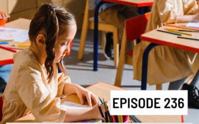 Episode 236: Replay of Webinar – Reduce Behaviour by Setting up your Classroom for Success