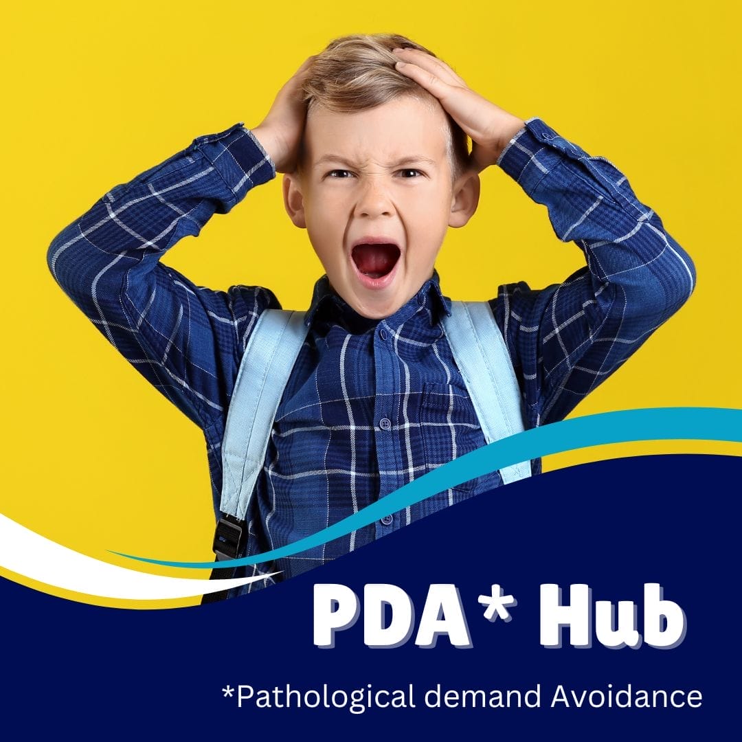 PDA Hub