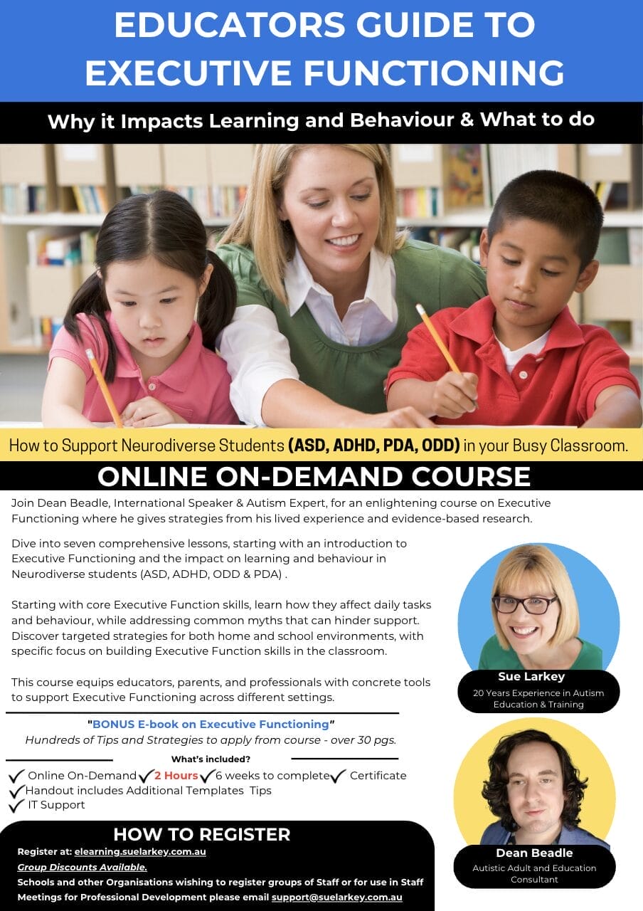 Sue Larkey Executive Functioning Training Flyer image