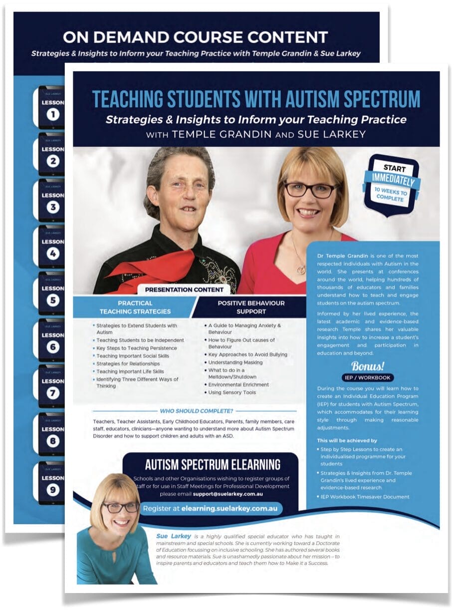 Flyer for Strategies & Insights to Inform Your Teaching Practice course