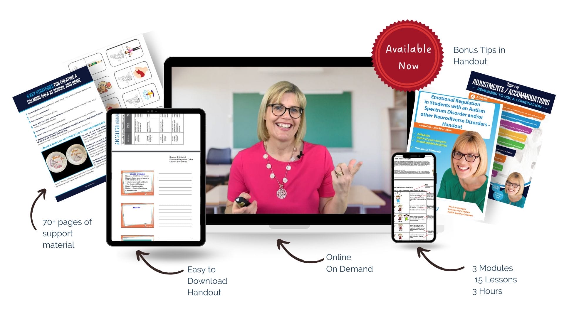 NEW COURSE VISUAL Emotional Regulation- Handout Layout