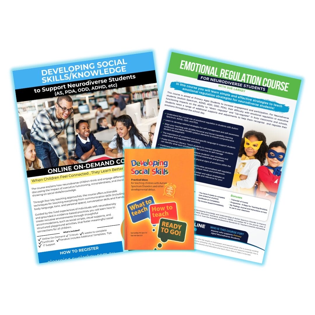 STudent Wellbeing Bundle Visuals (9) Playground plans for neurodiverse students