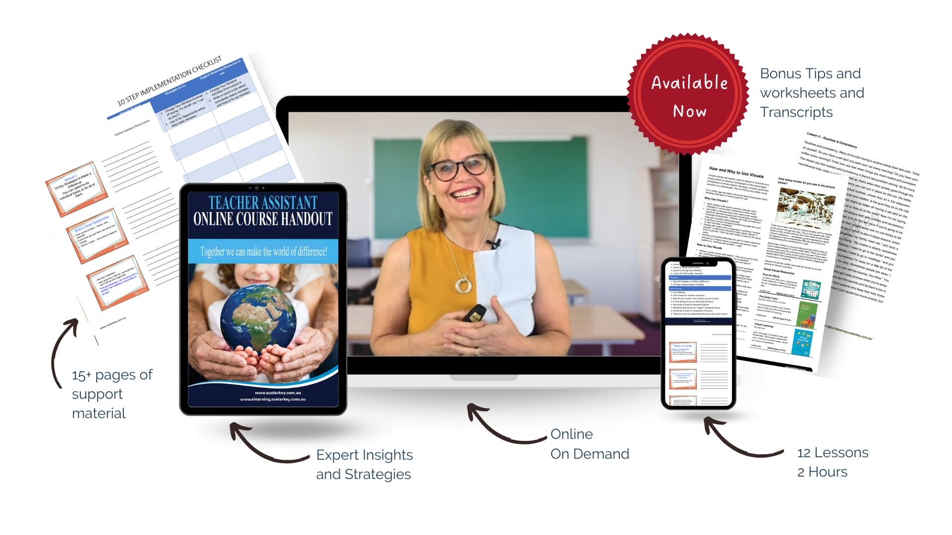 Copy of COURSE VISUAL Teacher Assistant Behaviour Course